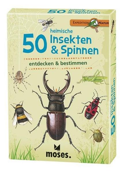 50 heimischeInsekten und Spinnen